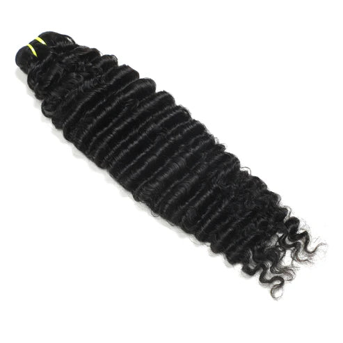 Burmese Curly Premium