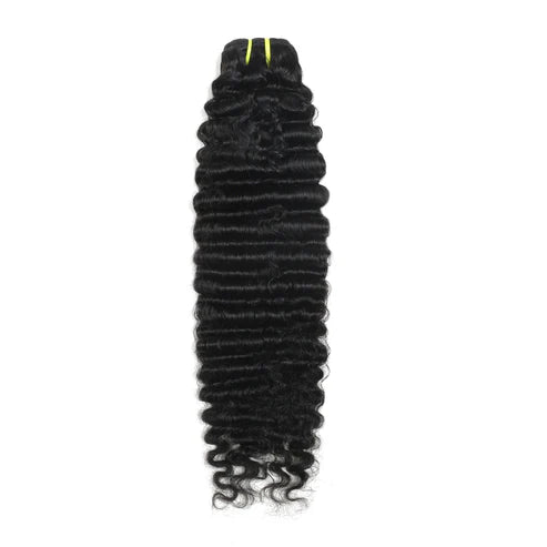 Burmese Curly Premium